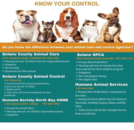 Solano County - Animal Control Contact Information