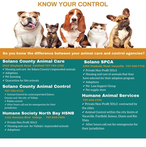 Solano County - Animal Control Services