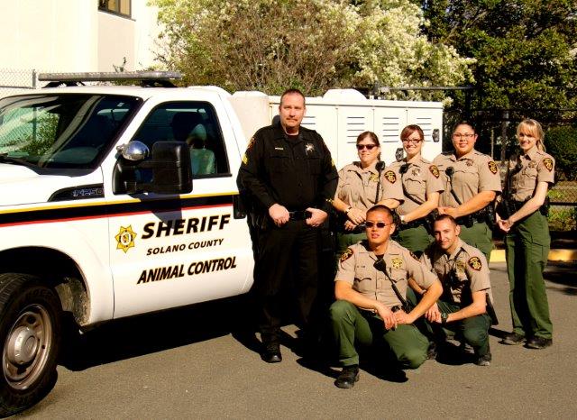 county animal control