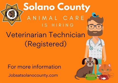 Solano County - Low Cost Clinic
